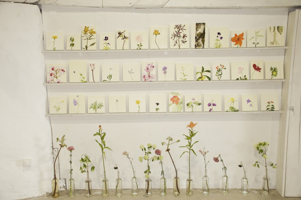 Line Bergseth-Blomsterporträtt, installationsbild. 3000:- styck. Målningarna är c. 20 x 20 cm.